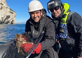 Officers with the rescued macaque.