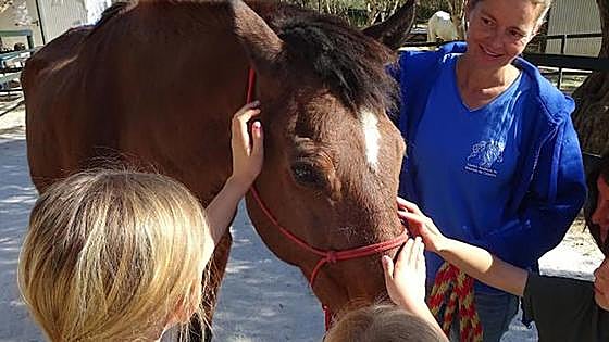 Andalusian Rescue Centre for Horses faces 'challenging' 15th anniversary year