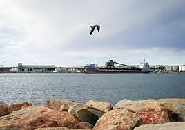A large tonnage vessel loading salt, last Friday, in the Poniente dock of the port of Torrevieja.