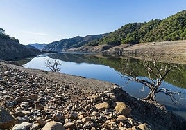 La Concepción reservoir, in Marbella, at a very low level.