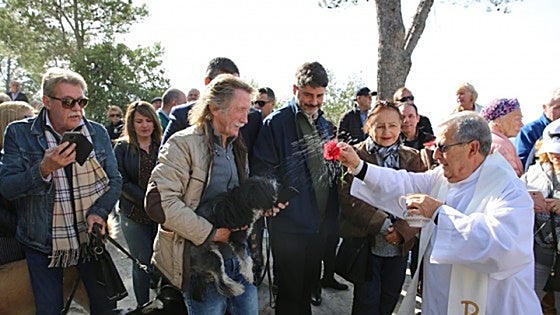 Single women and pet lovers gear up for San Anton festivities in Mijas