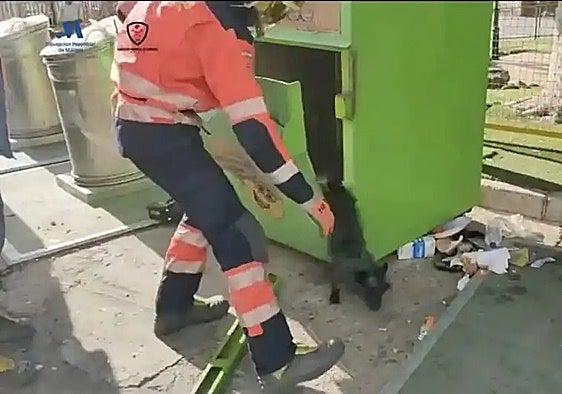 Firefighters rescue two dogs 'left to die' inside second-hand clothes container in Malaga town