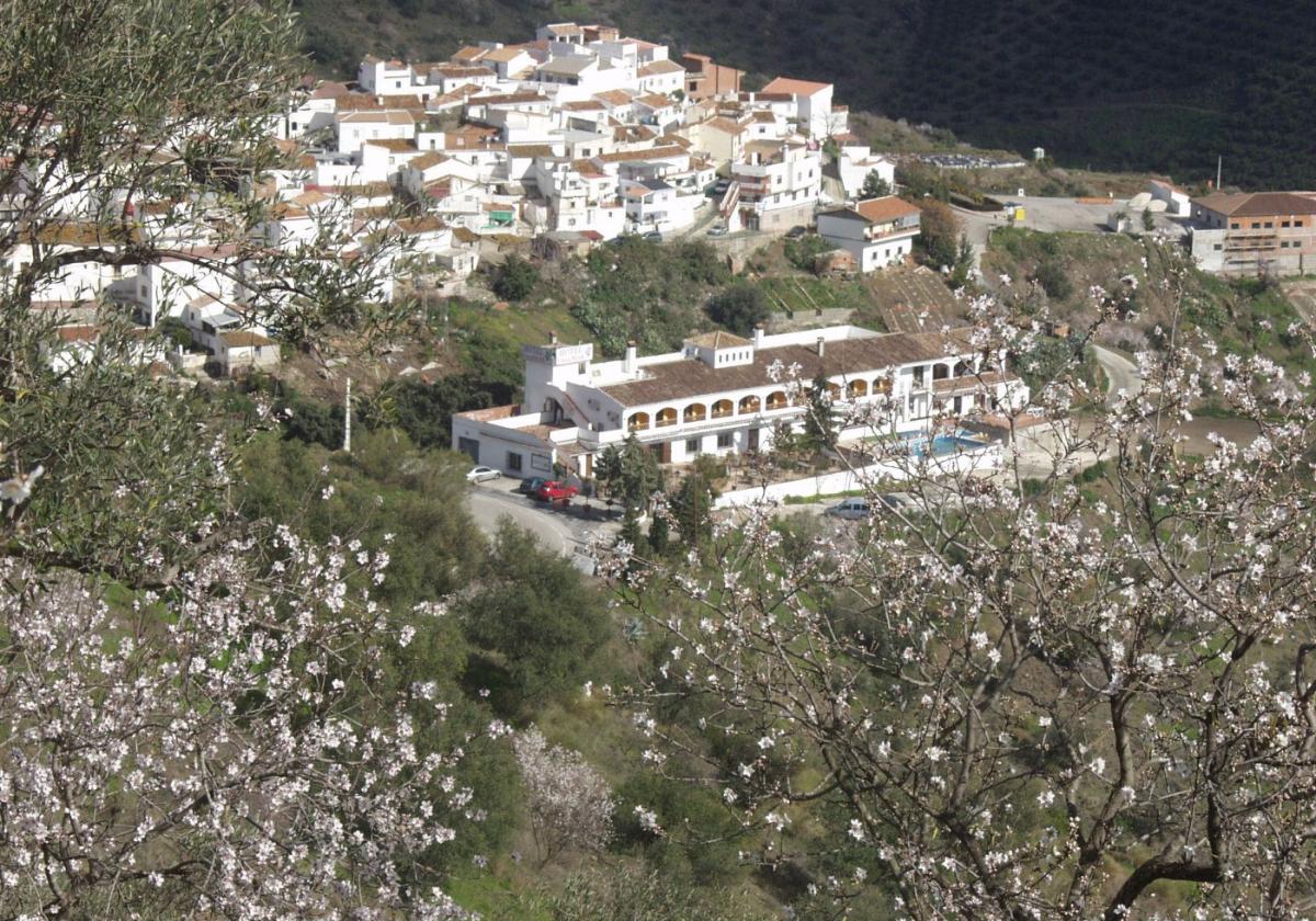 Almond blossom in Moclinejo.