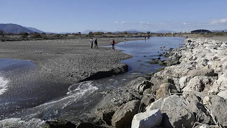 Hundreds of fish die after being trapped in mouth of Malaga's Guadalhorce river