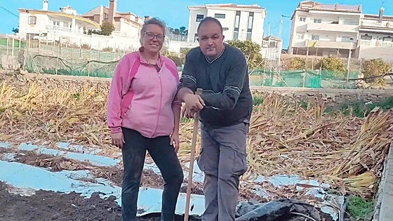 A 'superfood' grown on the Costa del Sol