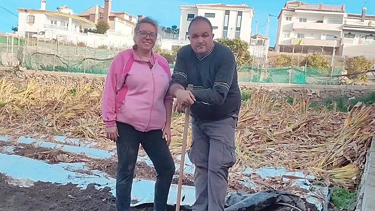 A 'superfood' grown on the Costa del Sol