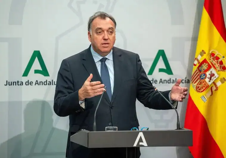 Regional minister Arturo Bernal during the presentation of the new Andalusian tourist housing decree.