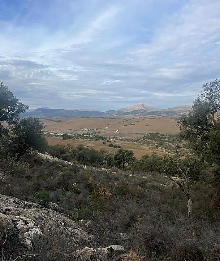 Imagen secundaria 2 - The most important open-air cave paintings in Andalucía are in Malaga and they can be visited for free