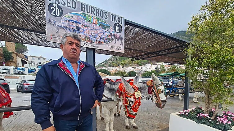 New 'uniform' for Mijas donkey taxi drivers