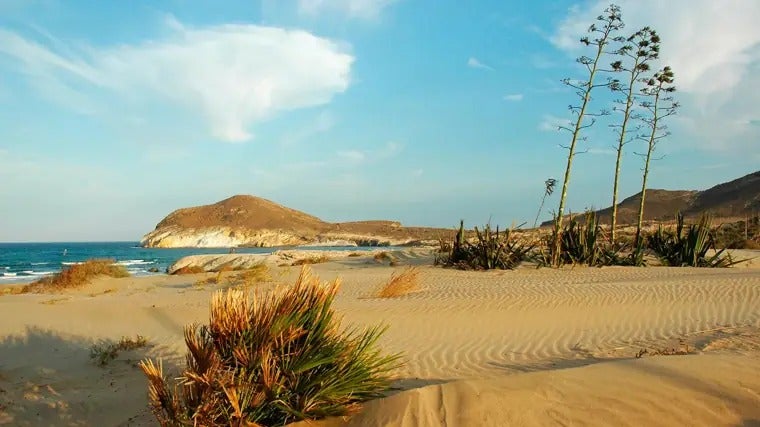 Playa de los Genoveses.