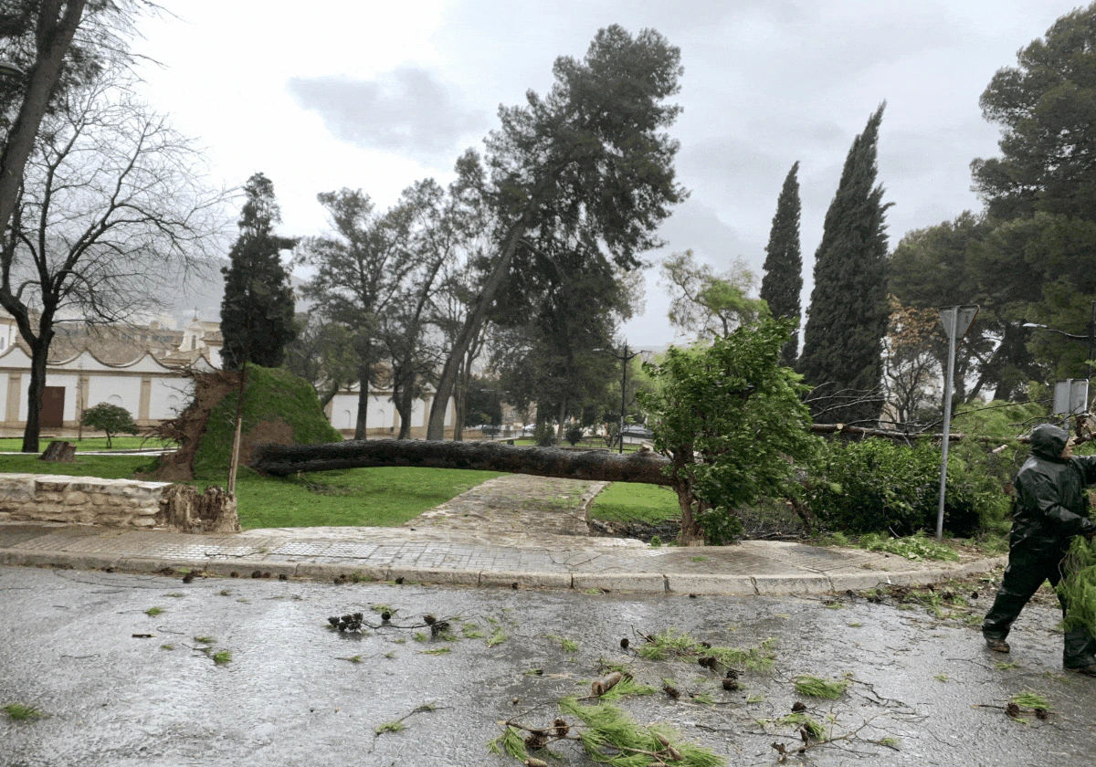 These are some of the scenes from across Malaga province this Friday, as storm Karlotta blows in.