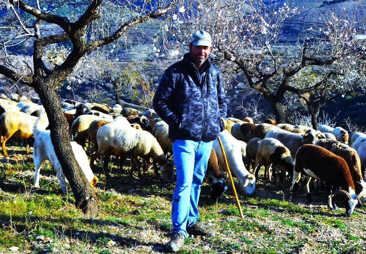 The shepherd who left school to keep sheep in La Alpujarra