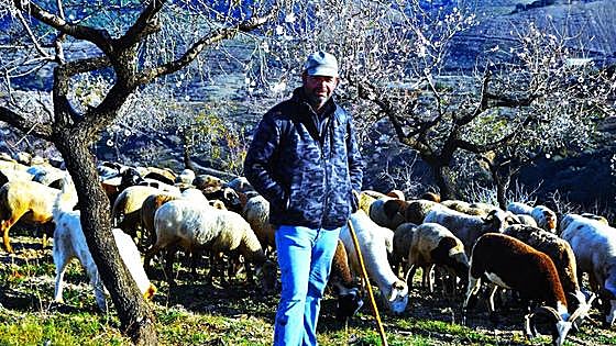 The shepherd who left school to keep sheep in La Alpujarra