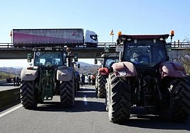 Police make almost 30 arrests during farmers' protests across Andalucía