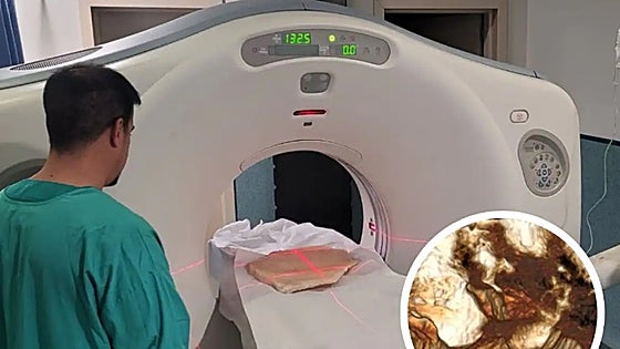 CAT scans of rare stegamites discovered in Malaga cave reveal some of their secrets