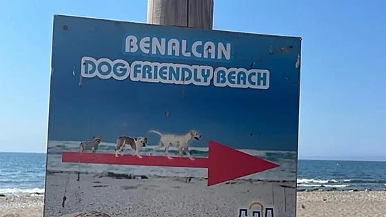 No dog beach for Benalmádena again this summer as legal row rumbles on
