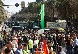 The last tractor rally in Malaga's Paseo del Parque.