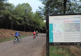 Human skeleton remains found on popular hiking route in Malaga mountains