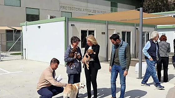 New shelter for up to 600 abandoned animals opened by town hall in Marbella