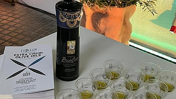 The second best olive oil in the world is made in Andalucía: 'We examine the olives every 24 hours'