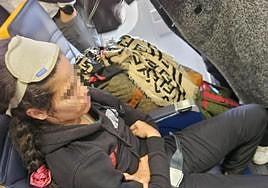 Fellow passengers on plane to Spain restrain woman following mid-air altercation