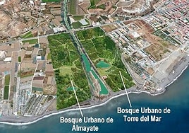A digital image of the proposed 'urban forest' on the Almayate and Torre del Mar sides of the River Vélez.