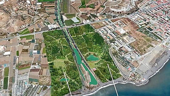 Positive response to Costa del Sol ‘urban forest’ proposal
