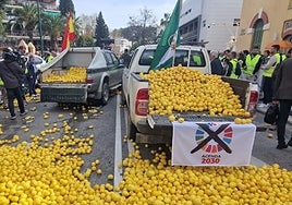 Lemons dumped in Malaga city.