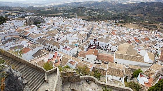 Olvera: An olive grove in a beautiful valley