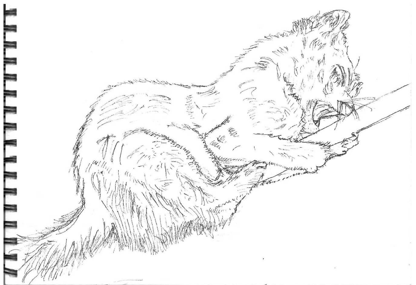 Pepe, aged 16. Phoenix College Málaga