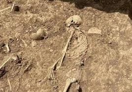 One of the many skeletons discovered.