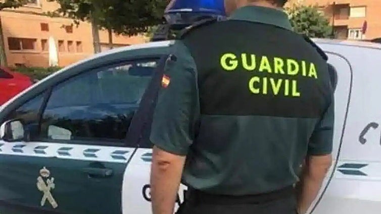 Man accused of assaulting ex-partner and beating her dog to death in Costa del Sol town