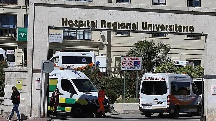 Woman stabbed in chest by her son dies in Malaga hospital