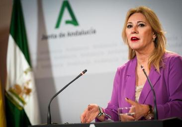 Junta's head of economy and finance: 'not against' the tourist tax, but it 'must always go hand in hand with the sector'