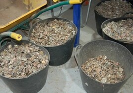 Coffee capsules at the Costa del Sol recycling centre.