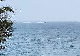 The narco-boats flee after the arrival of a police patrol boat.