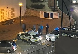 Local residents help foil squatters as they attempt to occupy two half-million-euro penthouses on eastern strip of Costa del Sol