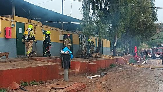 As many as ten hunting dogs killed in blaze on outskirts of Malaga