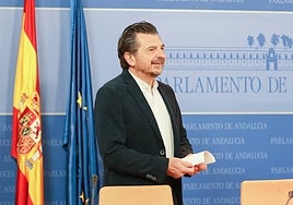 Toni Martín, Partido Popular parliamentary spokesman