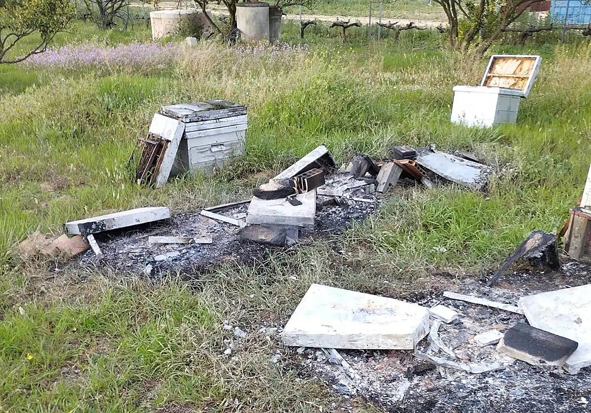 Teenager accused of beating to death the man who murdered his father in Andalusian village