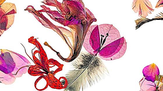 See the magic of nature through a new exhibition in the Axarquía