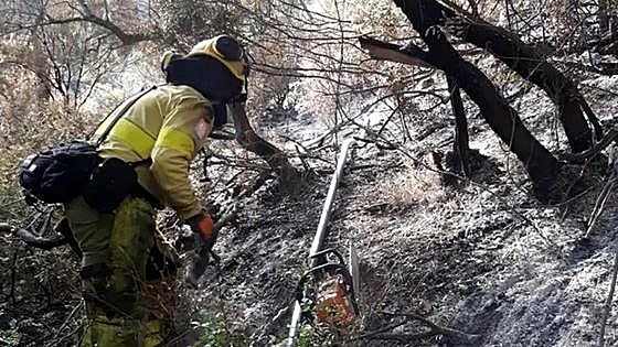 Mijas to reduce risk of forest fires with controlled burning of dried vegetation and shrubland