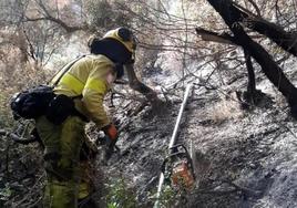 Plan Infoca firefighters tackling a wildfire in Mijas (file image).