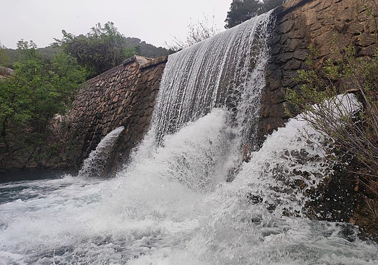 Photo taken on the banks of the Turón in El Burgo.