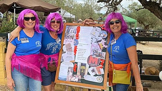 Spring festival fundraiser in aid of Andalusian Rescue Centre for Horses in Alhaurín
