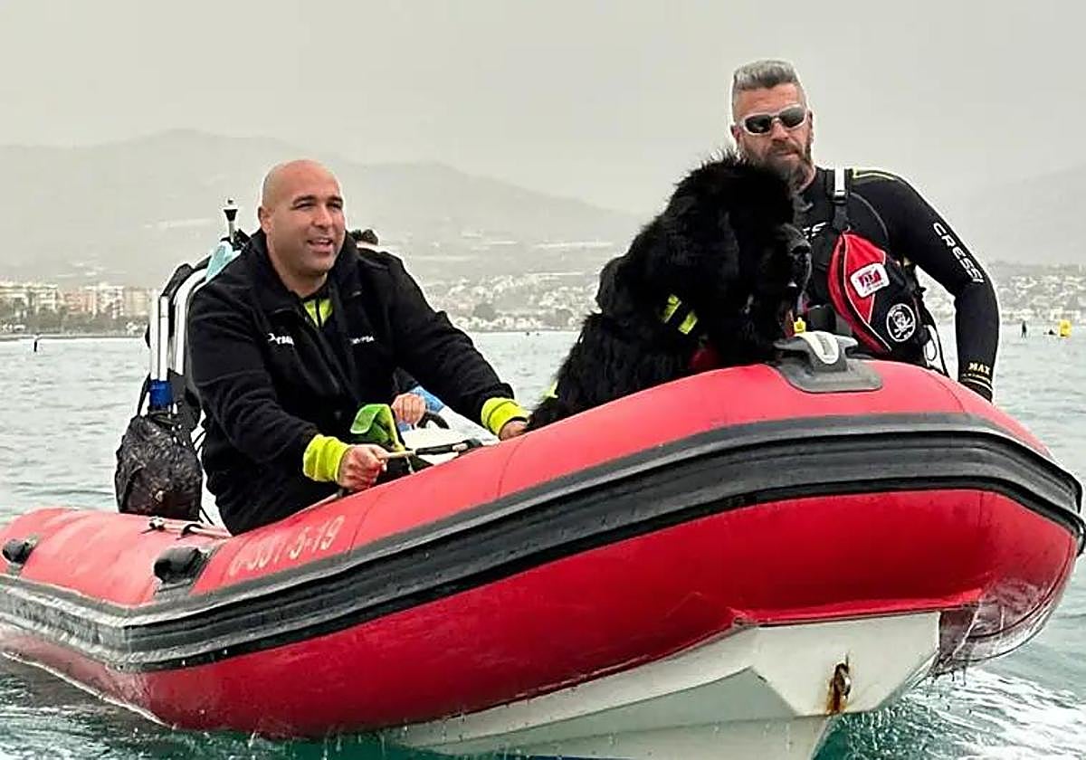 Watch as doggy paddle canines join lifeguard rescue service on the Costa del Sol