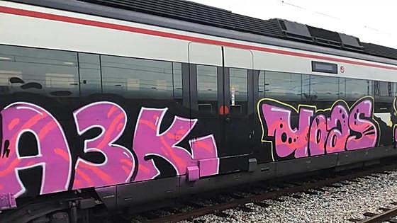How much did it cost Spain's train operator Renfe to remove graffiti from rolling stock in Andalucía in 2023?
