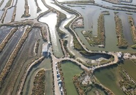 Aerial view of Estero Natural