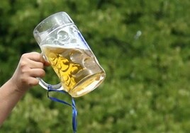 Major brewery in Spain investigates whether 'waste' by-product from beer brewing process could be converted into snack