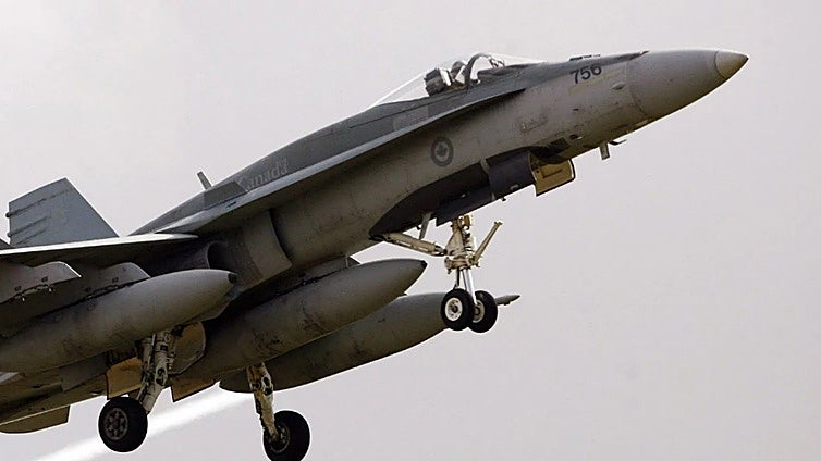 This is the moment beachgoers were startled as two Spanish fighter jets swooped fast and low over the Costa del Sol